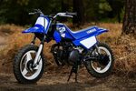 YAMAHA PW50 / 2015 / YOUTH MOTORCYCLE / ALSO GREAT wt TRAINI